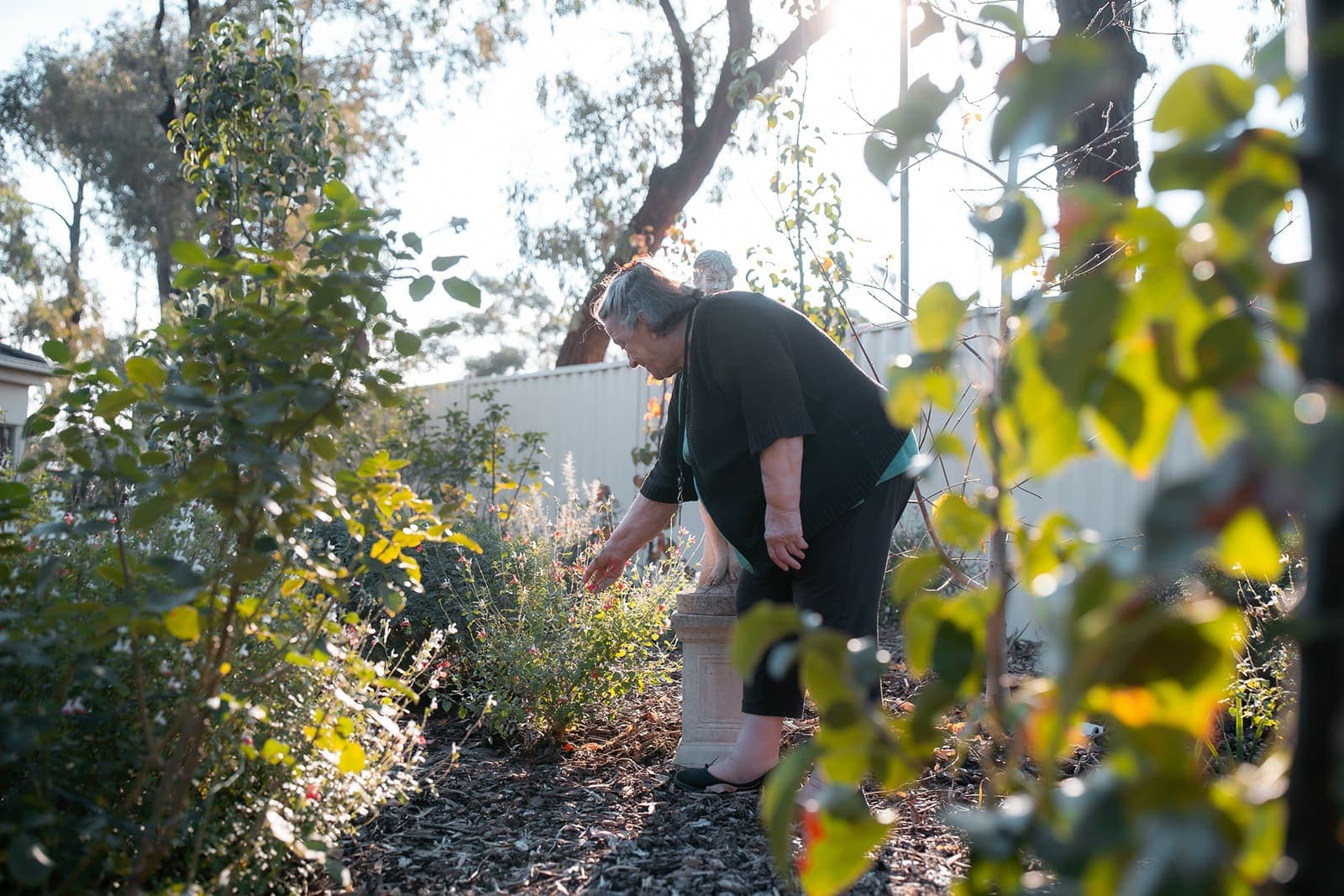 TLC AGED CARE