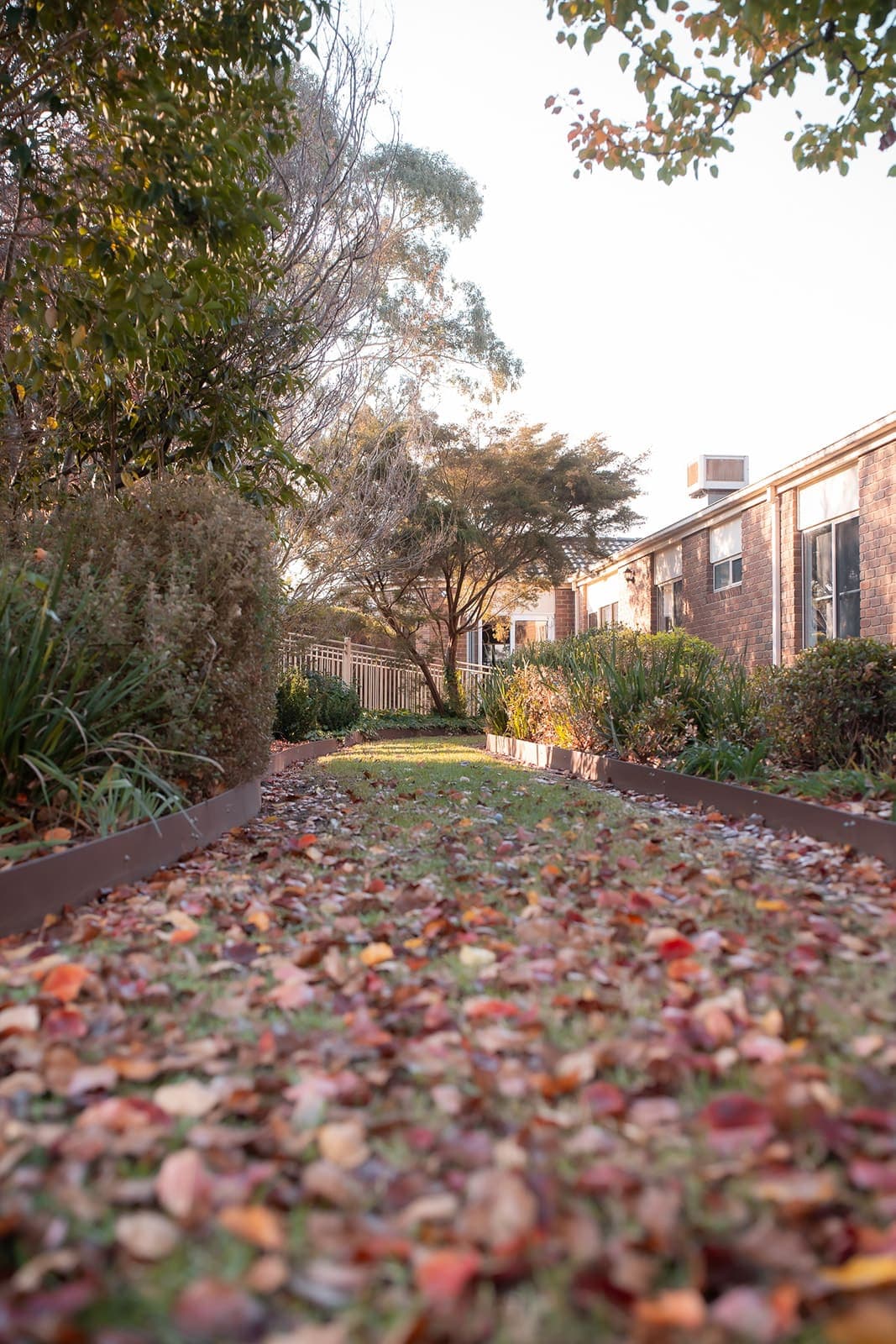 TLC AGED CARE